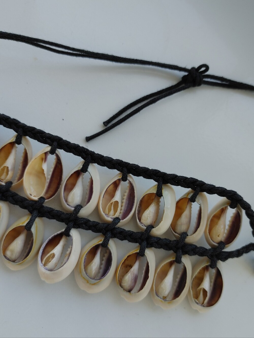 🌺 Altered Shell chocker - Picture 11 of 11